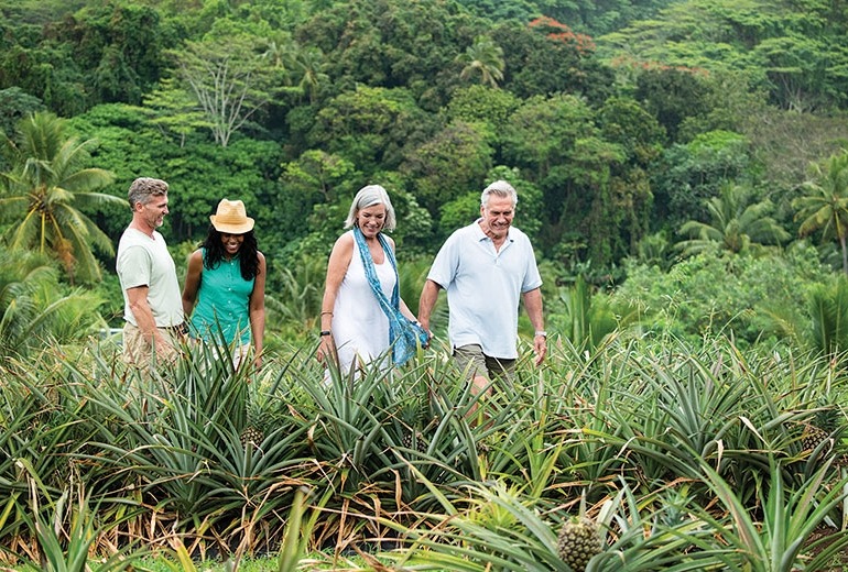 Exploring the pineapple fields of Rarotonga in the Cook Islands