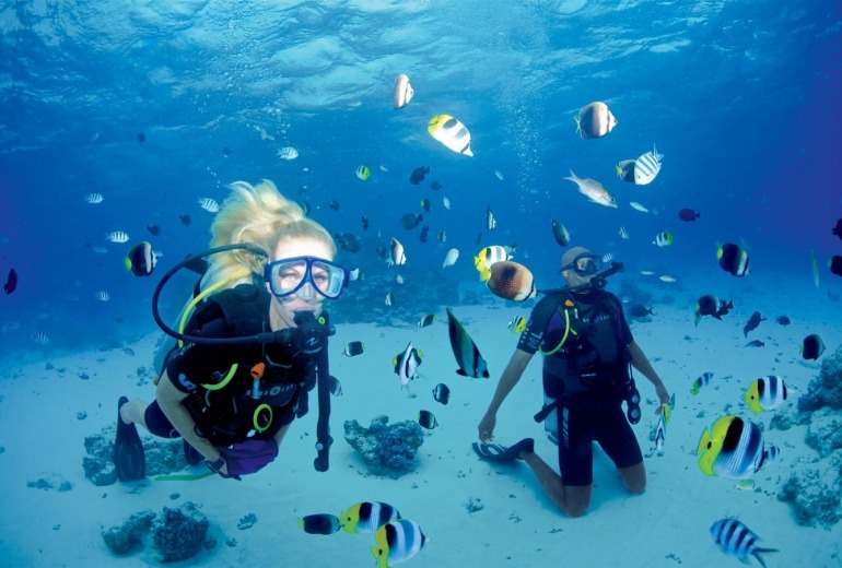 A couple wearing scuba diving equipment get up close to tropical fish.