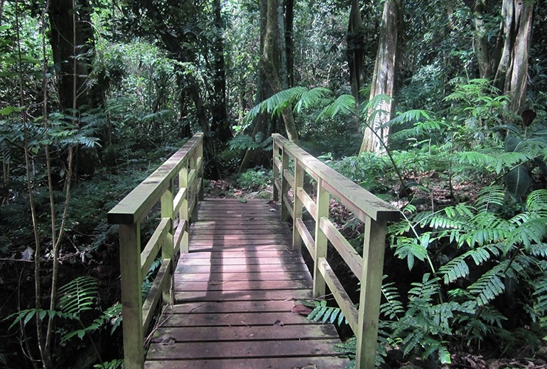 Moorea tour Hike Three Coconut Trail