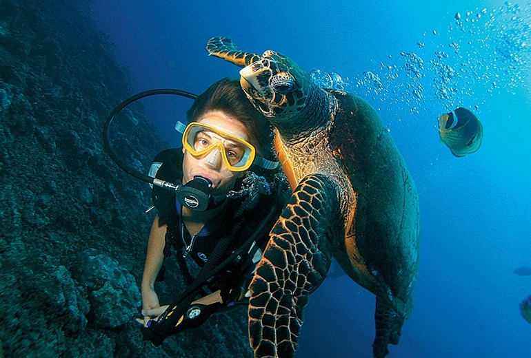 A sea turtle swims right up to a Paul Gauguin guest, gliding over her shoulder and head.