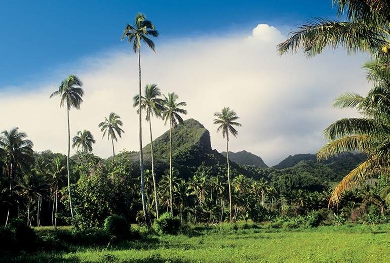 Informative nature tour of Rarotonga.