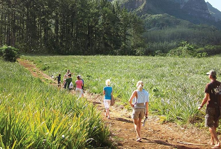 Guided hiking tour of Rarotonga.