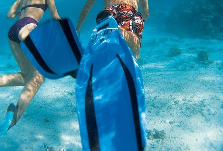 Snorkel tour of Moorea.