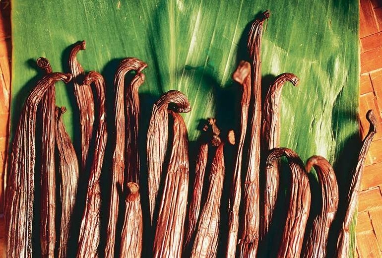 Fresh grown Taha'a vanilla beans.