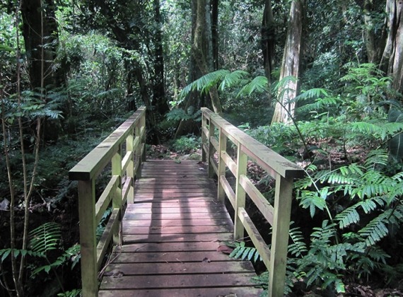 Moorea tour Hike Three Coconut Trail