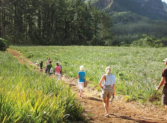 Guided hiking tour of Rarotonga.