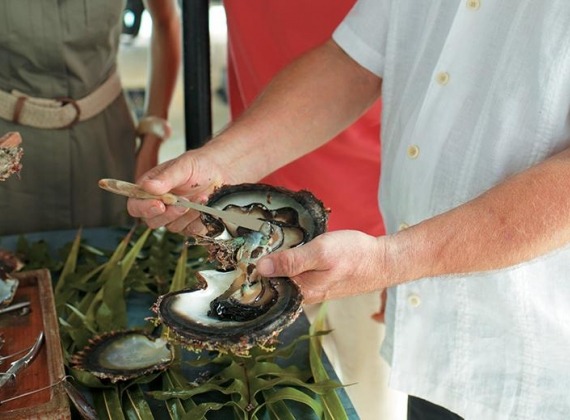 Taha'a Black Pearl Farm.