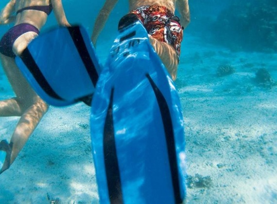 Snorkel tour of Moorea.