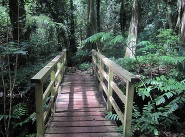 Moorea tour Hike Three Coconut Trail