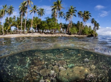 Bonegi Beach coral