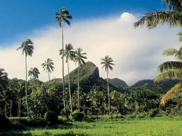 Informative nature tour of Rarotonga.