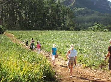 Guided hiking tour of Rarotonga.