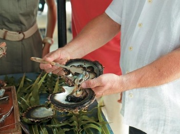 Taha'a Black Pearl Farm.