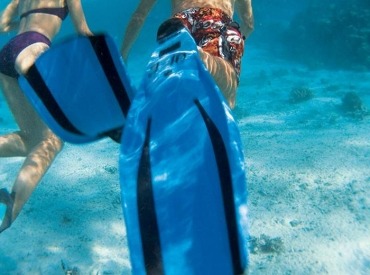 Snorkel tour of Moorea.