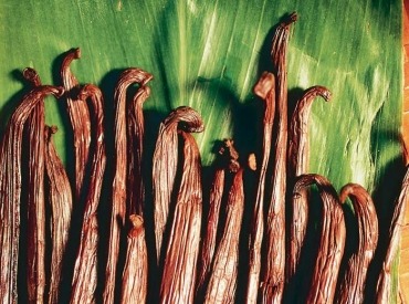 Fresh grown Taha'a vanilla beans.